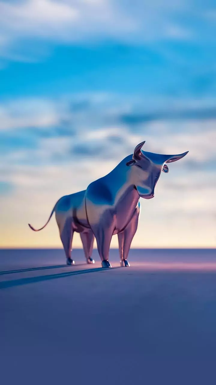 Tamil Nadu bull race turns tragic during Pongal festival