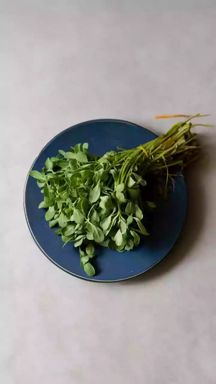 Unveiling Purslane: A Culinary Delight!