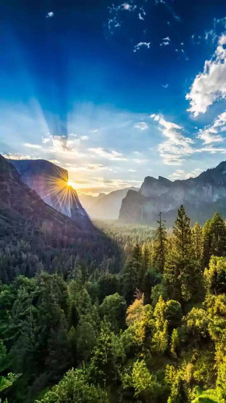 AI Could Give Yosemite Staff a Clearer View of Road Congestion
