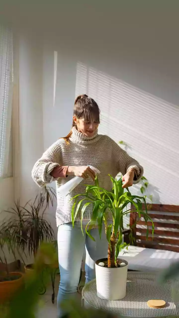 A Spotlight On Windowsills As Growing Areas In The New Small-Space Gardening Trend