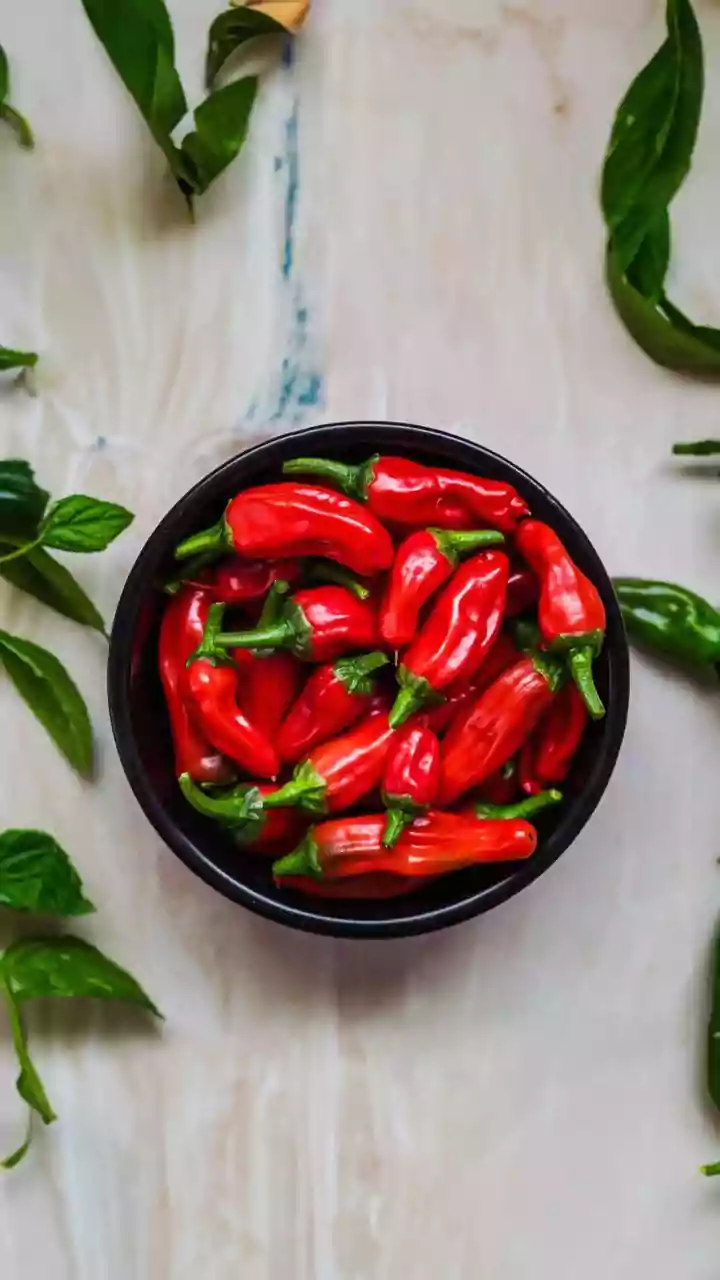 Growing Thai Chillies In Pots Explained: Thai Chilli Plants Need Consistent Light