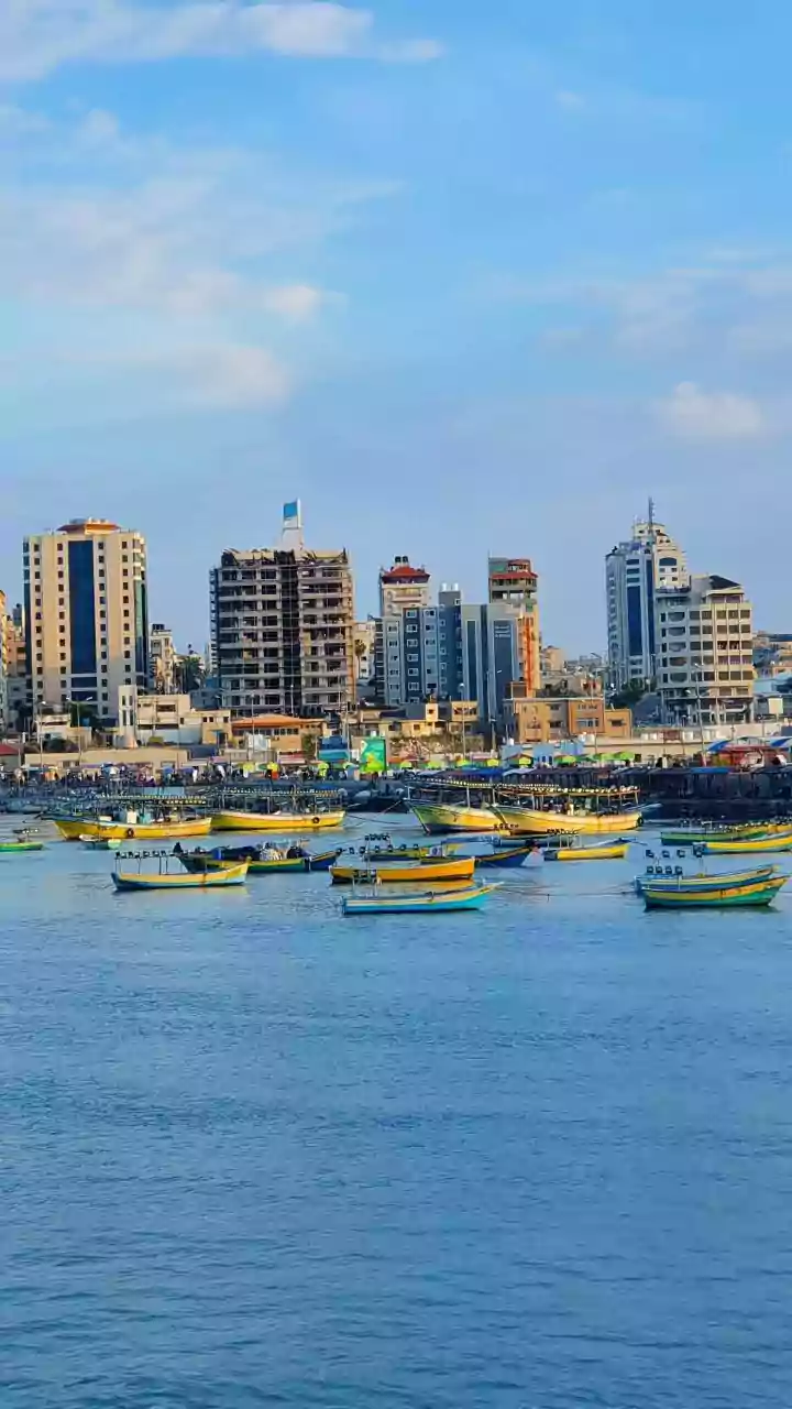 Donald Trump's Private Chats With NATO Chief on Greenland Made Public - 'Secrets' Unveiled