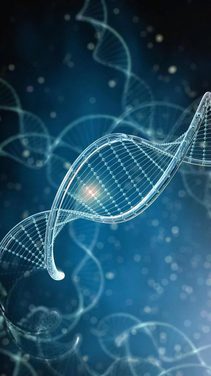 The Latest Research Into Looking Younger Looks At What New Ageing Research Can Really Establish