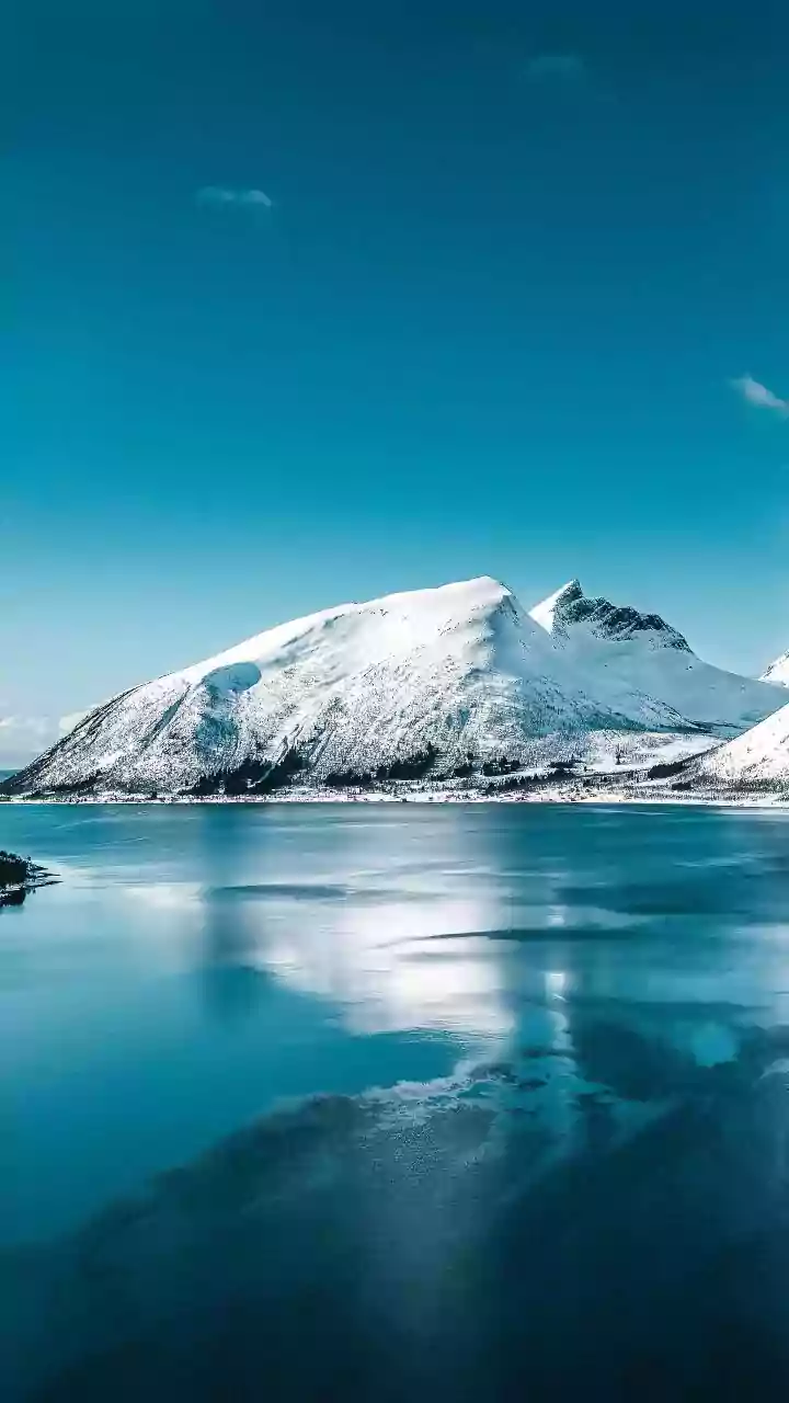 Trump renews demand for Greenland at Davos; calls Denmark 'ungrateful'