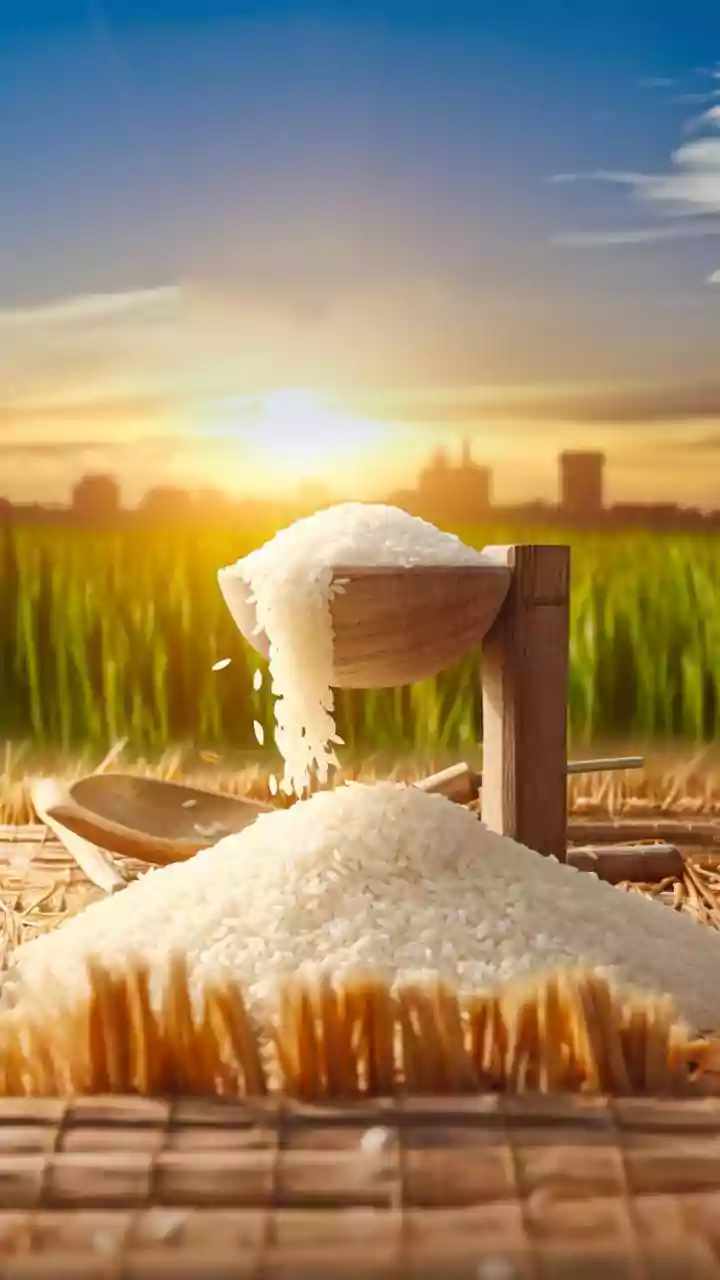 Indian rice export rates hit one-year high due to below-average rainfall
