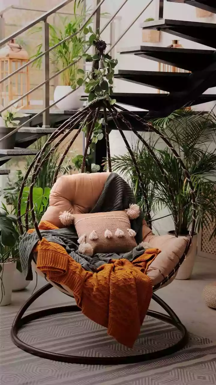 Houseplants Offer Home Decor Appeal With Limits On Air Cleaning
