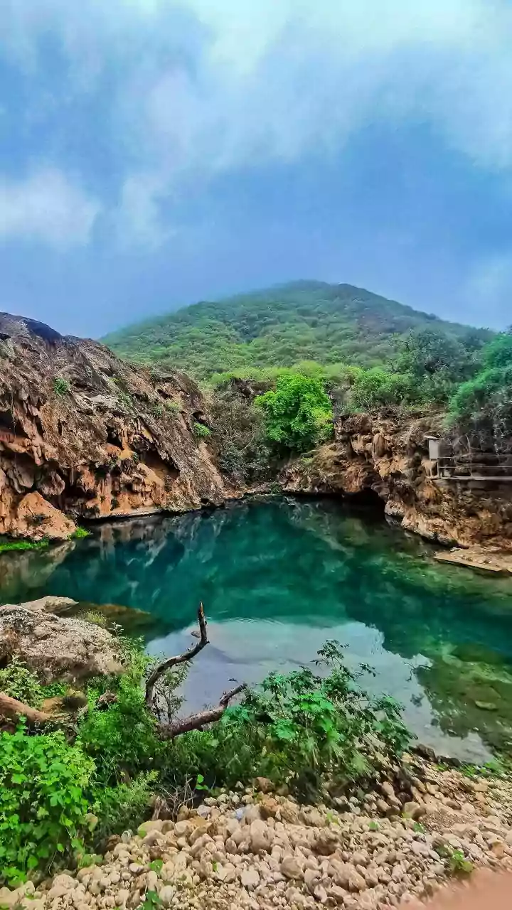 Explore India's Seven National Parks: A Nature Lover's Guide