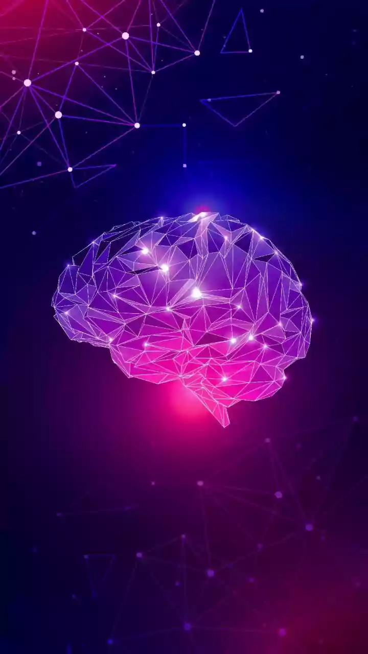 Unlocking the Secrets of the Human Brain: A Journey into Neuroscience