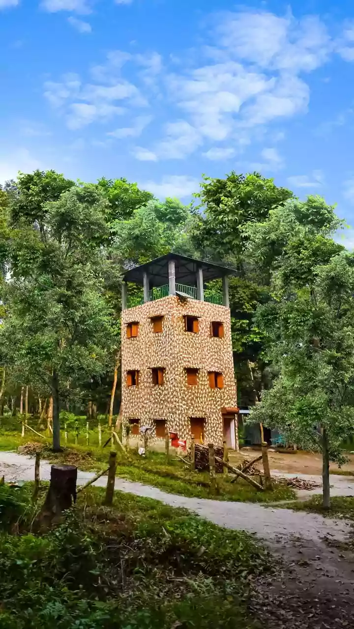 Monsoon Retreats In Wayanad: Exploring Bamboo Lodges Safely In Heavy Rains