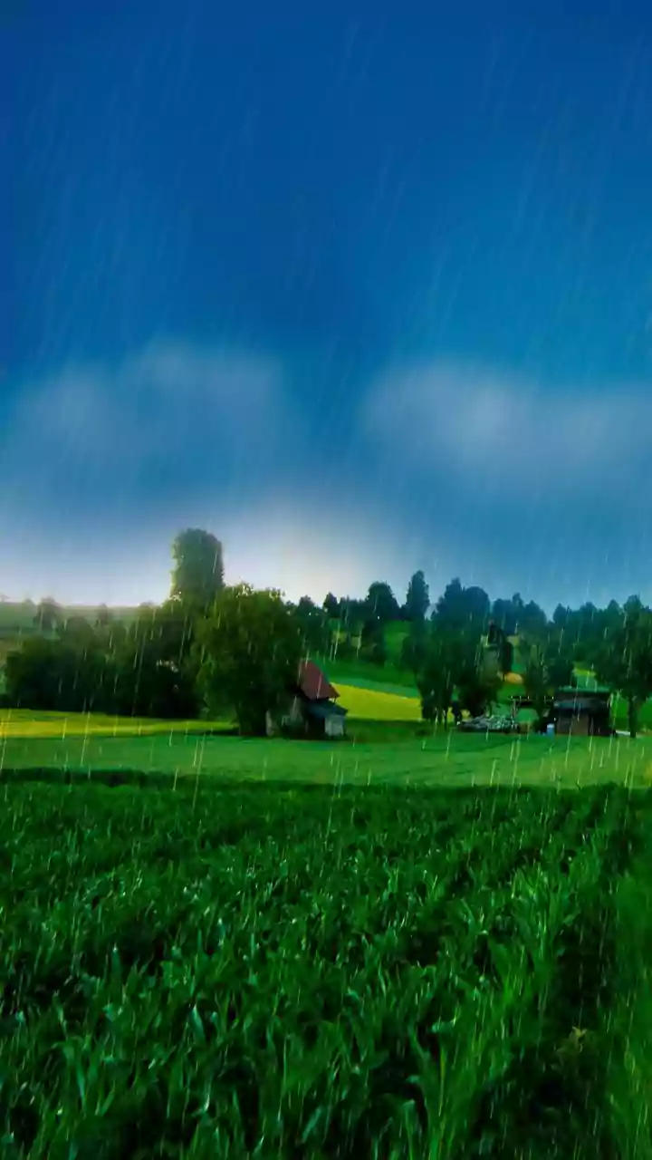 These Places Look Better After The First Rain