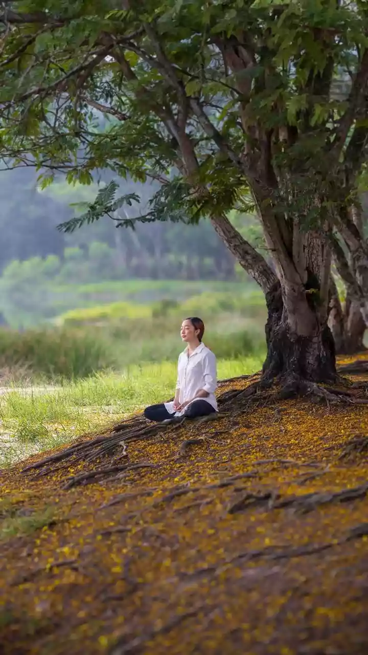 Gaur Gopal Das: Navigating Life's Challenges for Inner Peace and Contentment