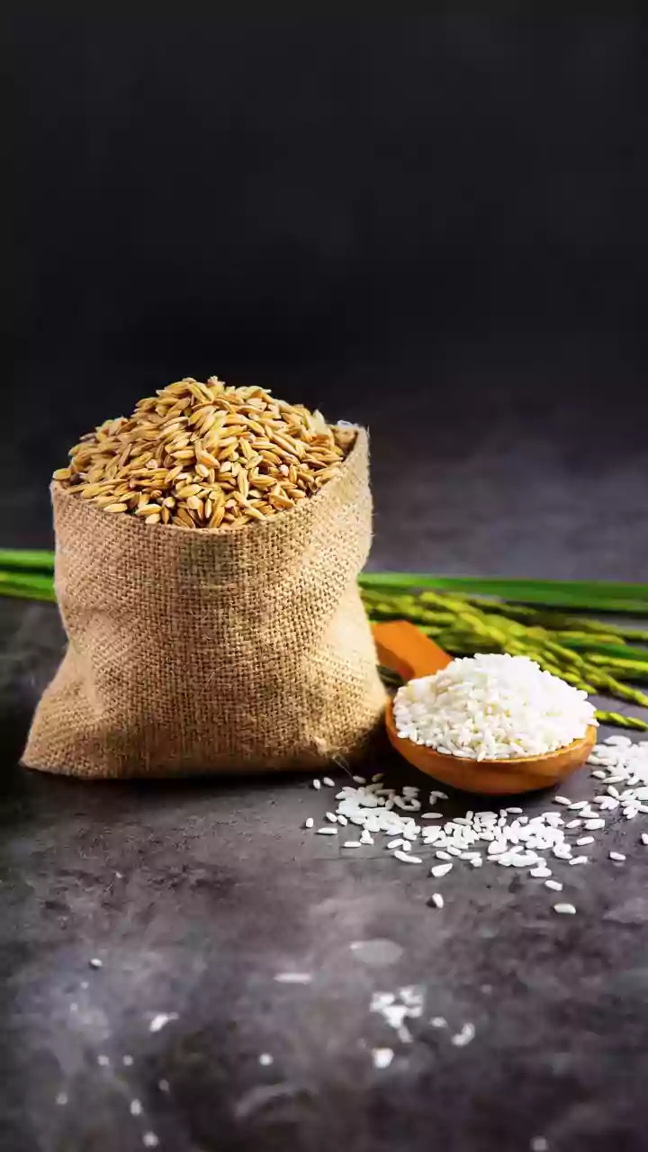 Unlocking Ayurvedic Wisdom: Sattvic, Rajasic, and Tamasic Foods