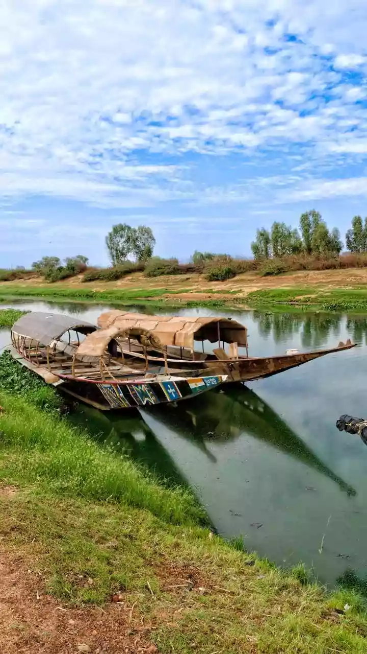 How Artisans In Kerala Shape Massive Teak Logs Using Sacred Rituals To Construct Snake Boats