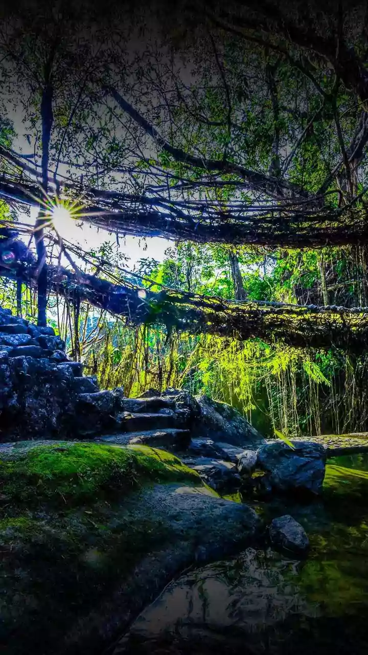 British Traveller Calls Meghalaya A 'Scamming State'; Internet Says 'We Need This Kind Of Scam'