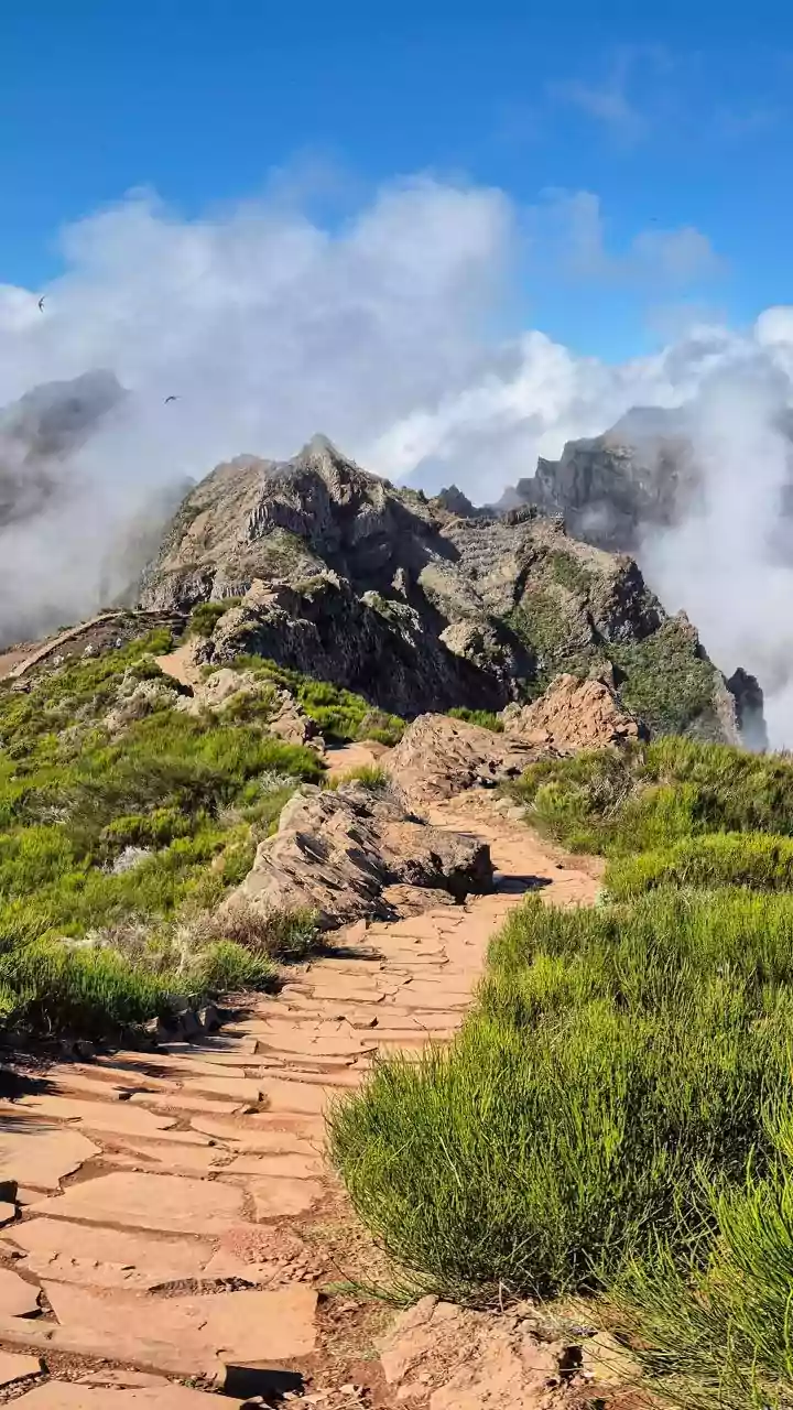 Canadian Rockies Hiking Trails: How Trail Difficulty Changes with Distance and Elevation