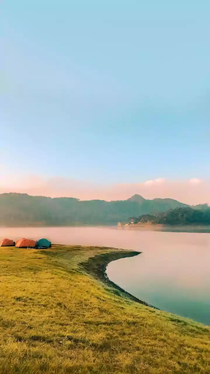 Emotional Wellness: Your Guide to Mental Health