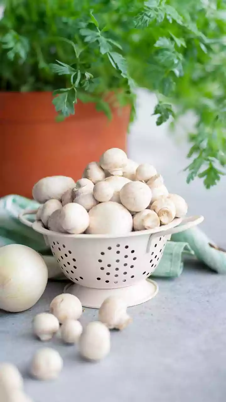 Before Cooking Any Monsoon Mushroom, Make Sure You Know Its Source