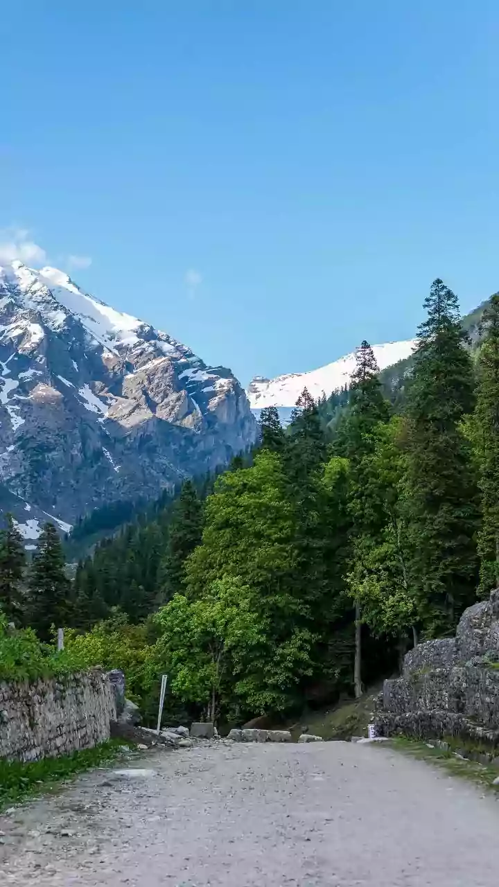 Why Young Remote Workers Choose Kasol And Bir For Long Term Himalayan Stays