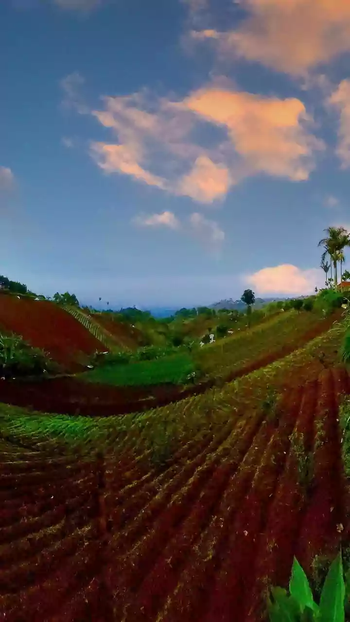 Off-Grid Micro-Pumps Transform Agricultural Practices Across Rural Maharashtra