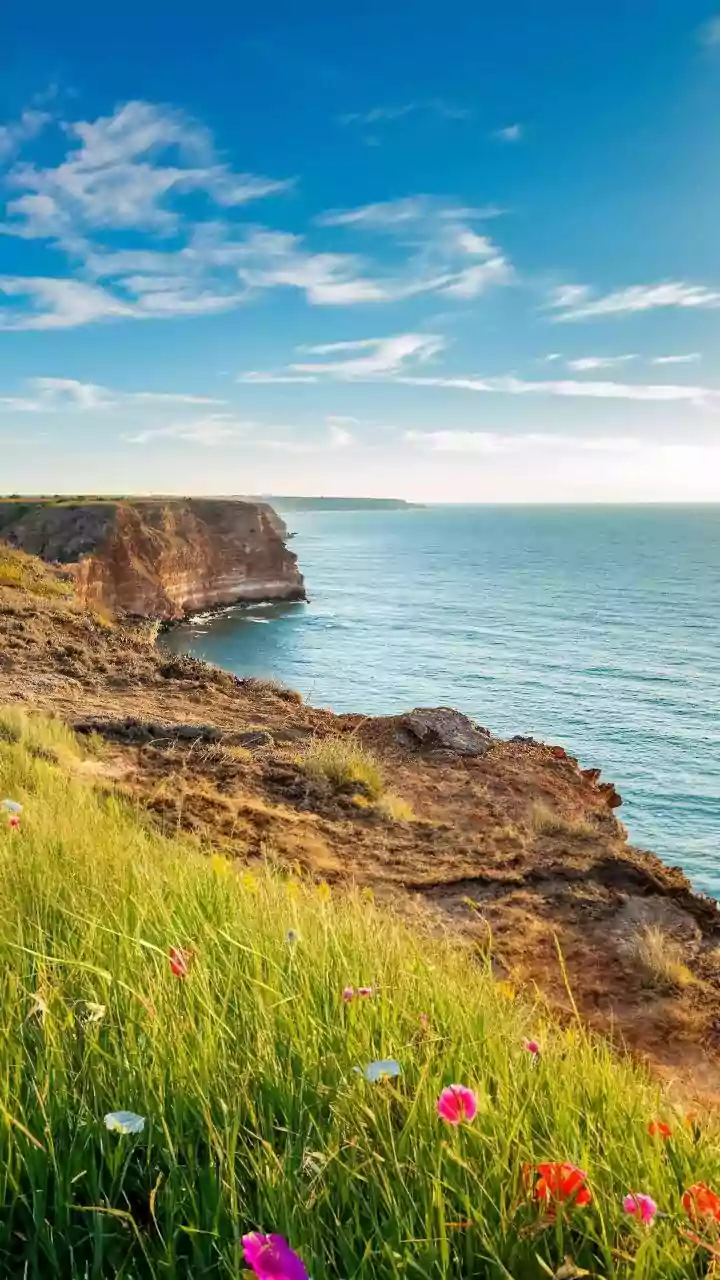 How to Discover Secluded Portuguese Coastal Spots: Portugal Beaches