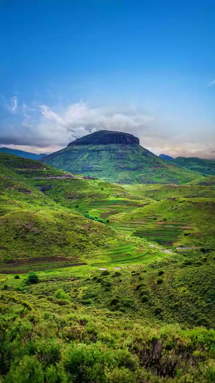 How Satellites Monitor Vegetation Across Large Farming Areas