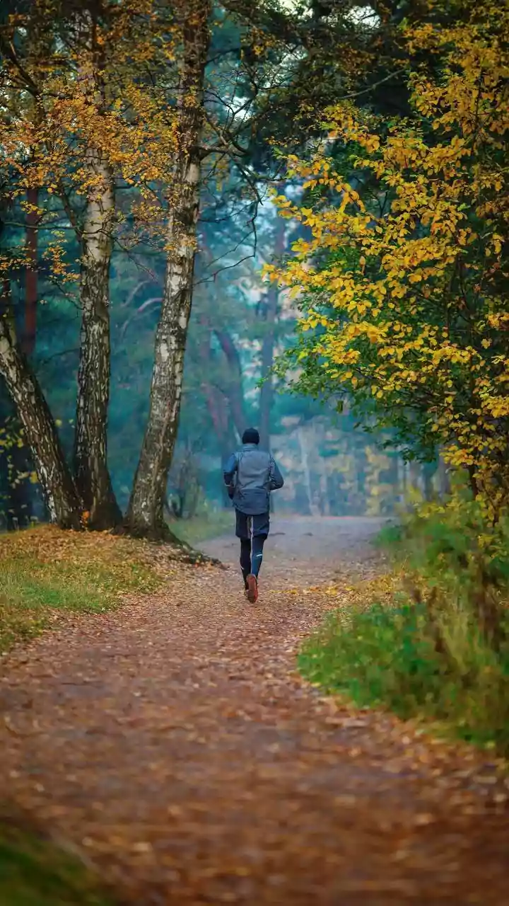 Low-Intensity 15-Minute Walks Post-Meal Help Lower Glucose Levels And Reduce Muscle Soreness