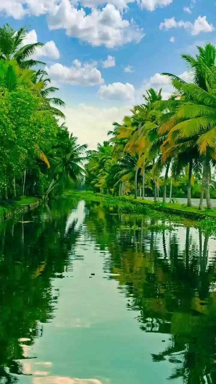 British Influencer's Soulful Kerala Sojourn with Son: A Journey Beyond Sightseeing