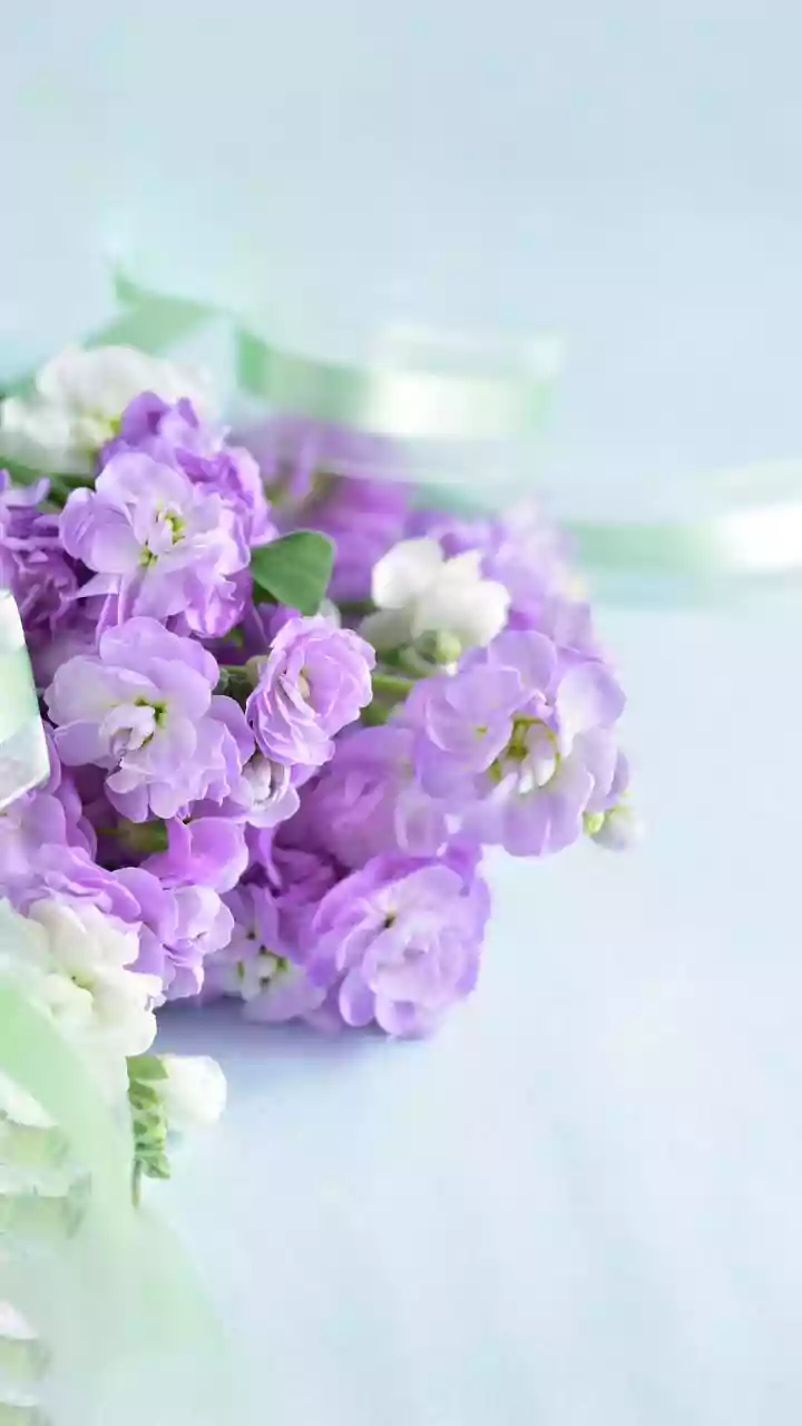 Unveiling 'Exquisite': A Journey into Beauty, Delicacy, and Intense Sensation