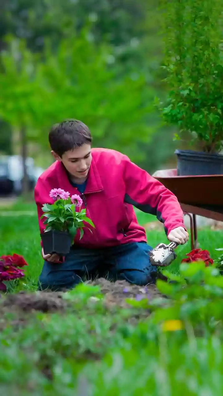 Slow Drainage May Point to a Repotting or Soil Problem