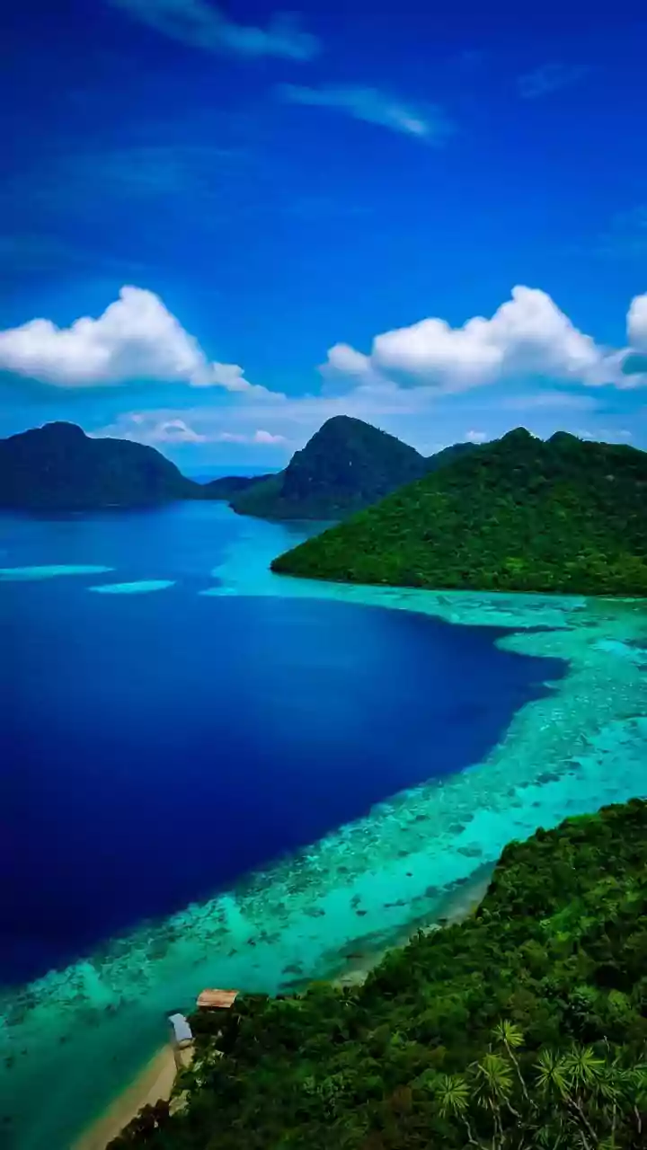 How Sustainable Travel Frameworks Preserve Lakshadweep Pristine Coral Reef Ecosystems For Future Visitors