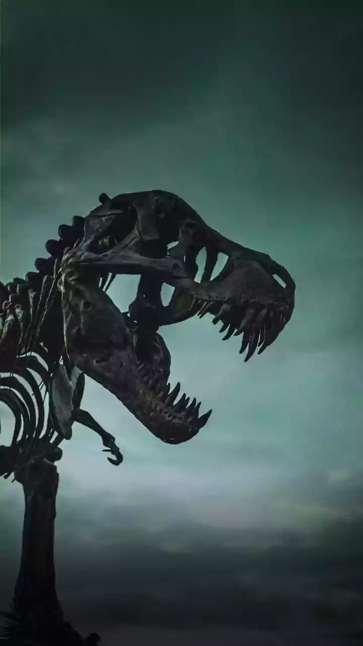 T. rex took way longer to grow up than we thought