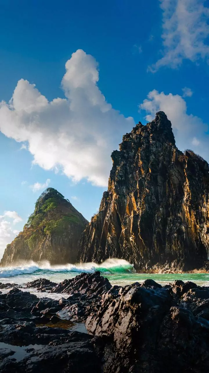 A evolução do lagarto que só existe em Fernando de Noronha