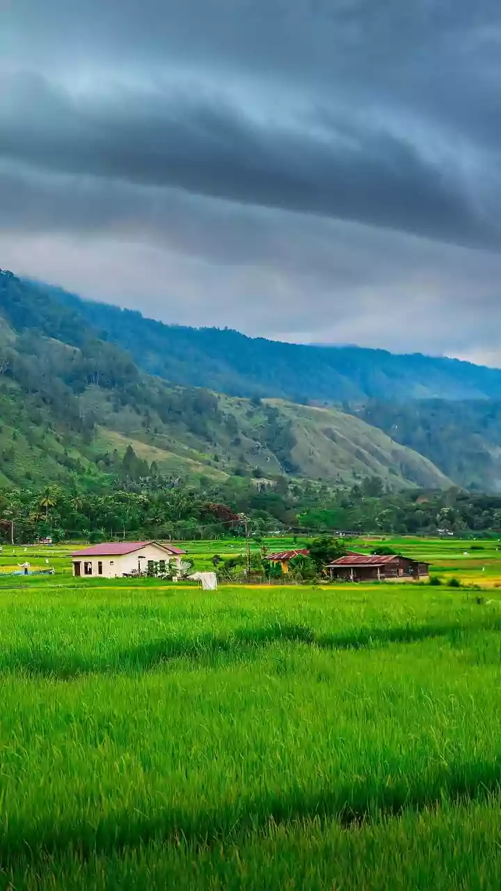 Rain-Refreshed Countryside Offers A Different Side Of Weekend Travel In India