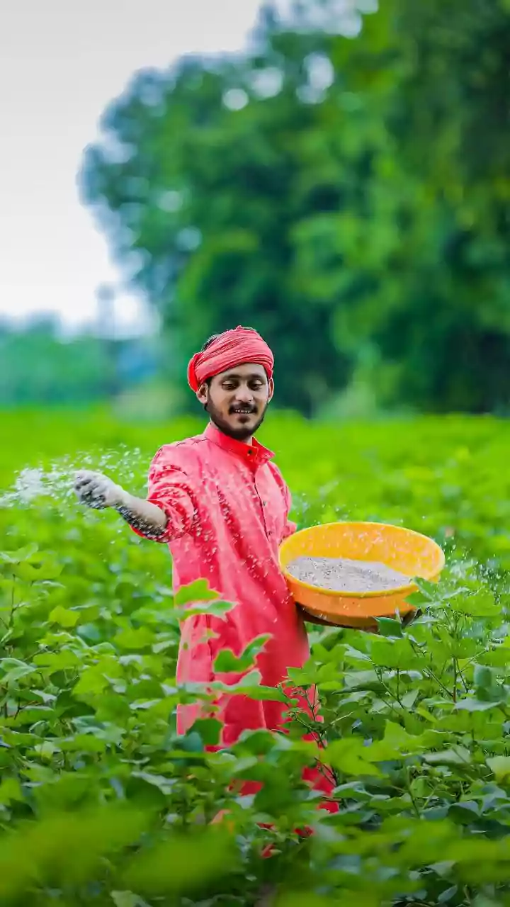The World Bank's Emerging Economy AI Push Highlights Local-Language Tools For Small Farmers