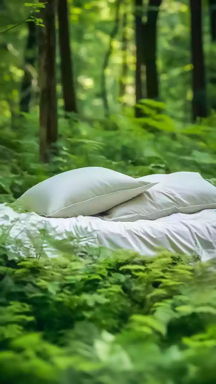 Nature Therapy Offers Refuge from Daily Stressors