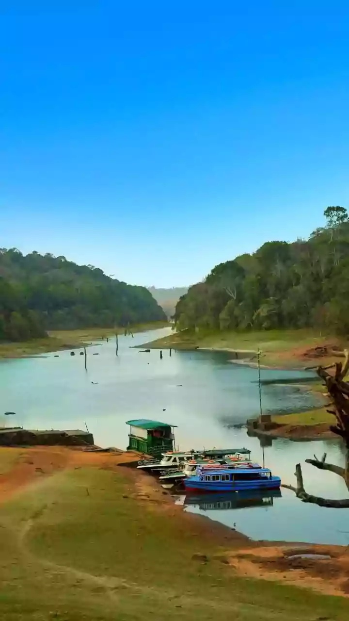 Wildlife And Rural Tourism Could Become Bigger Parts Of India’s Next Phase Of Travel Growth