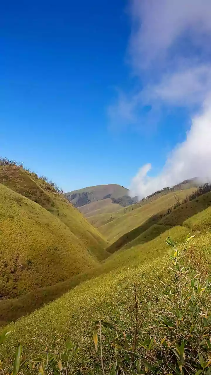 How Exploring Hidden Passes In The Western Ghats Delivers Rejuvenating Travel Experiences Free From Crowds