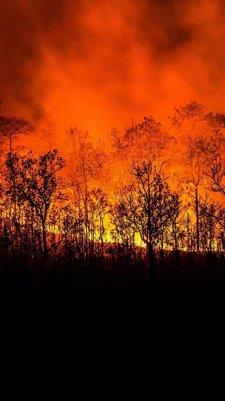 Over 40 shops gutted in major fire in Bhubaneswar