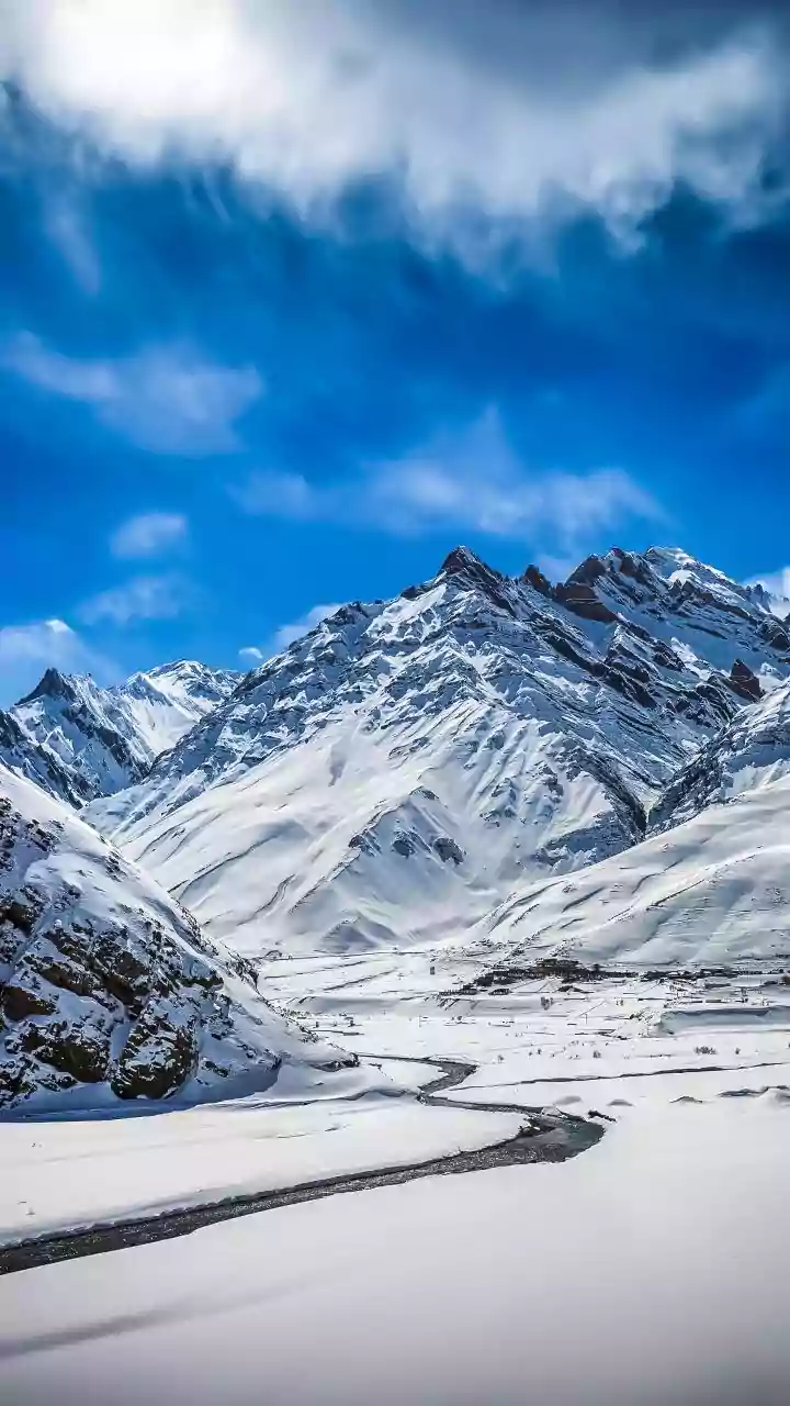 Cold wave grips north India; Fatehpur hits 1.6°C