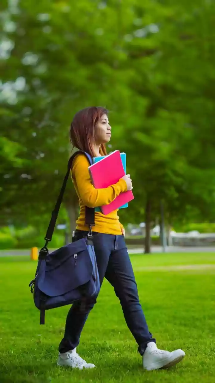 CGC University Mohali's Placement Success: A Milestone