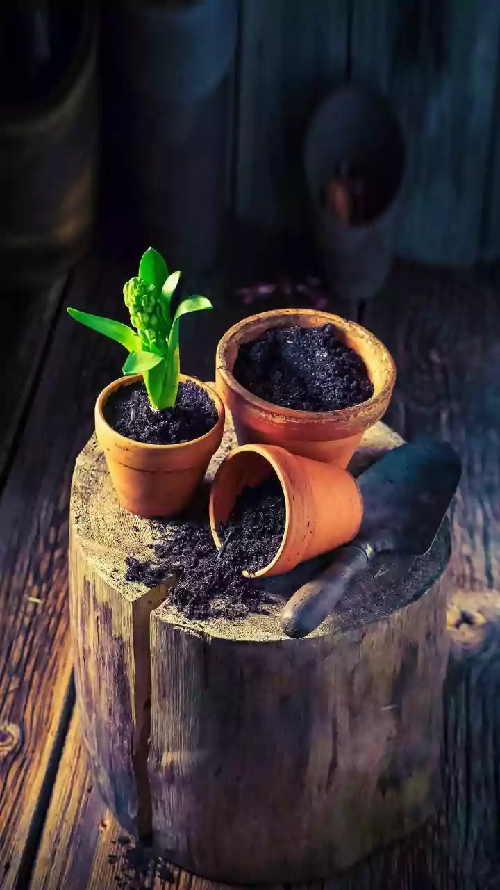 How Simple Home Composting Hacks Can Cut Household Waste Going To Urban Landfills By Half