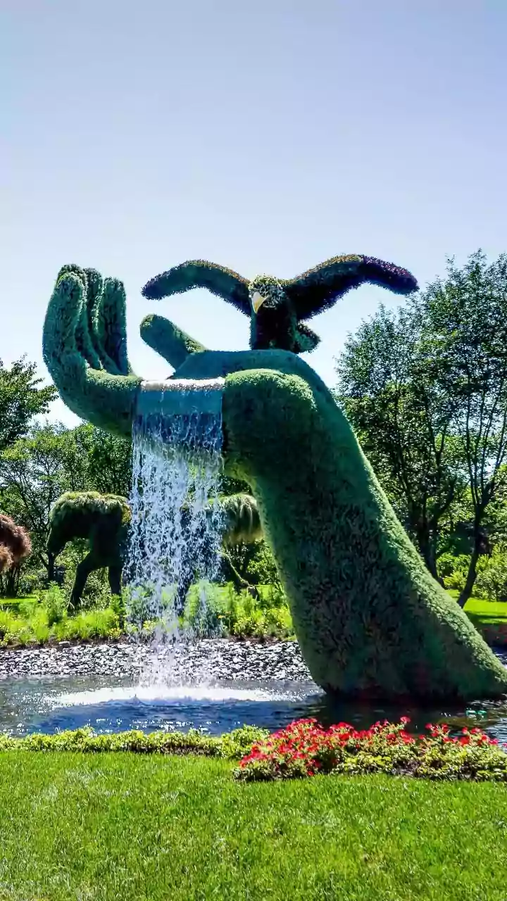 Board of Peace: A Call for Harmony