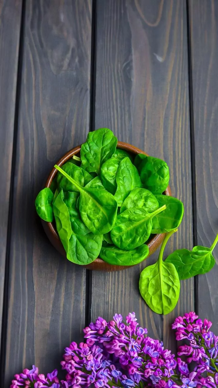 Spinach Secrets: Unlock Its Full Benefits and Avoid Raw Risks