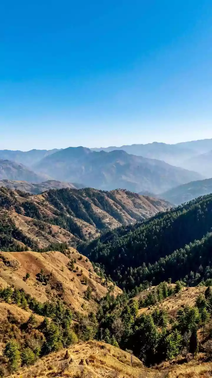 India's Forests Face New Challenges As Rainfall Patterns Continue To Shift