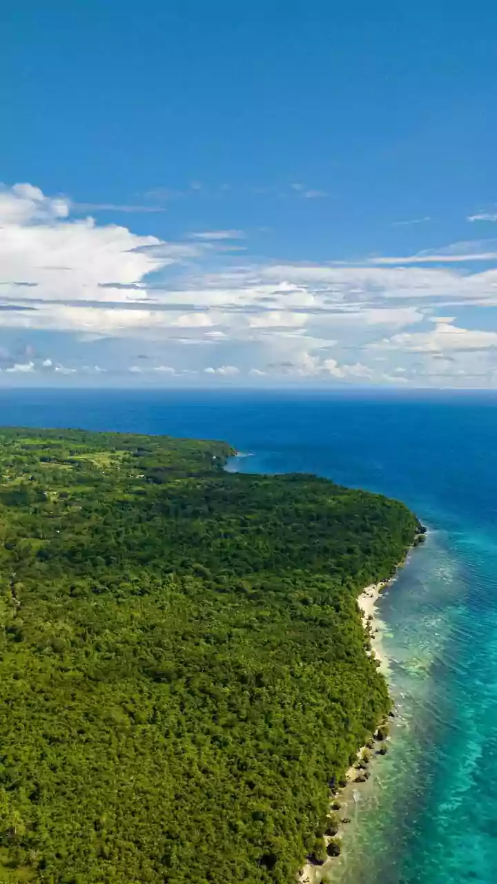 How Community Afforestation Efforts Restore Mangrove Bio-Shields To Safeguade Eastern Coastal Villages Today