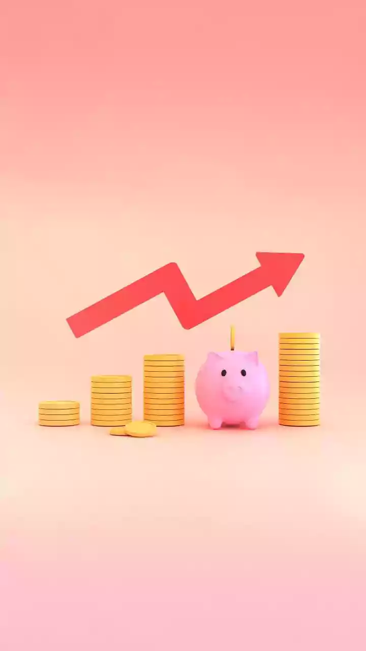 Meesho IPO: Decoding the Buzz & Investment Potential