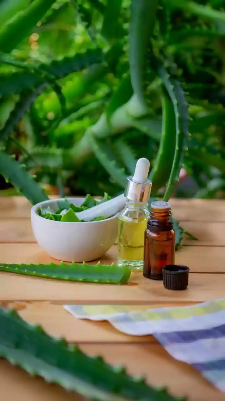 Soothing Relief: Top 5 Natural Home Remedies for Mosquito Bite Itch