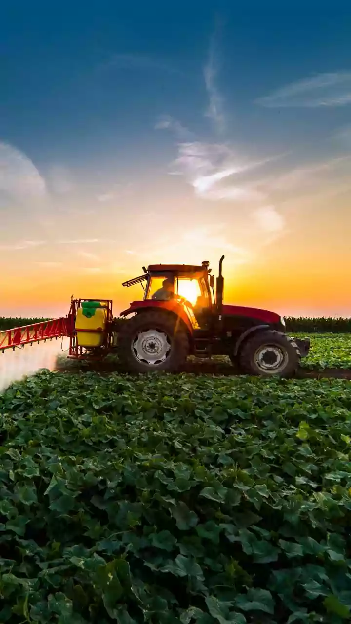 Economic Survey calls for urea price hike, direct cash transfer to farmers