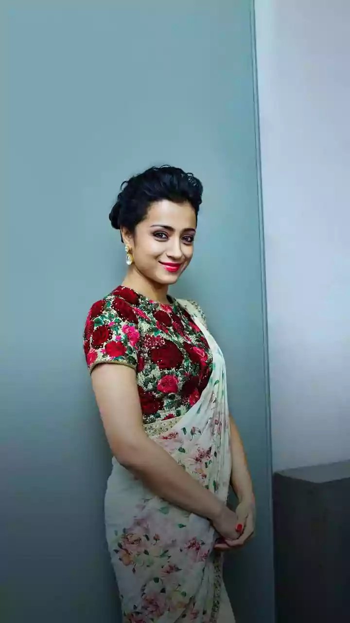 Happy Republic Day 2026: Timeless saree looks reflecting patriotic colours and fervour