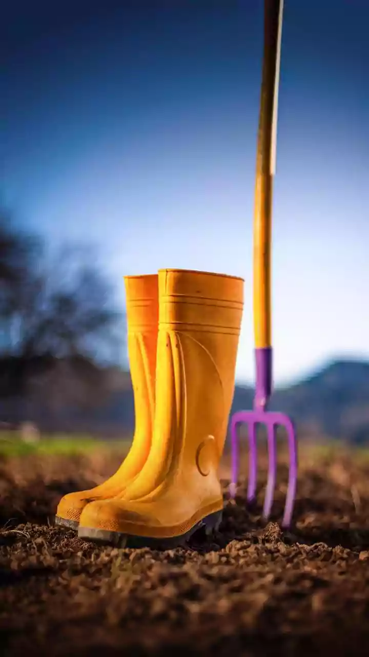 Balcony Gardening Upgraded As IoT Microbial Sensors Prevent Plant Damage From Overwatering